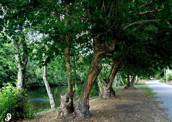 Quinta Dos Barbas ゲストハウス *