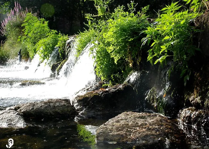 ゲストハウス Quinta Dos Barbas オリヴェイラ・ド・オスピタル