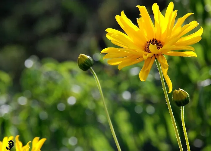 Quinta Dos Barbas * オリヴェイラ・ド・オスピタル